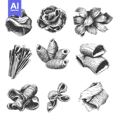 Detailed black and white illustrations of various pasta shapes