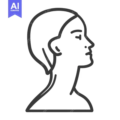 Aset premium populer: A simple black and white line drawing of a female profile