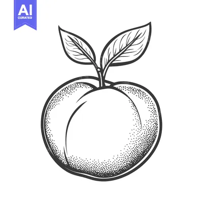 Aset desain premium: A simple line drawing of a peach with leaves