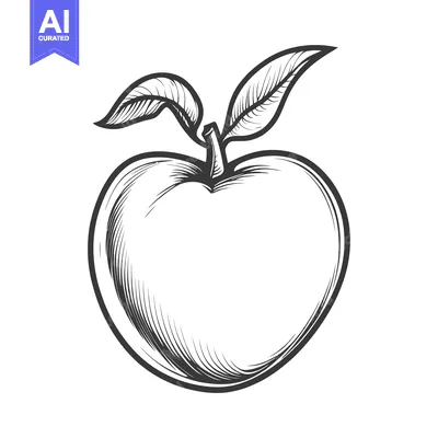 Aset desain premium: A Detailed Vector Drawing Depicting an Apple with Leaves