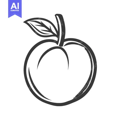 Aset premium populer: An outlined drawing of a single peach fruit with a leaf