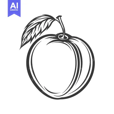 A simple black and white drawing of a ripe fruit and leaf