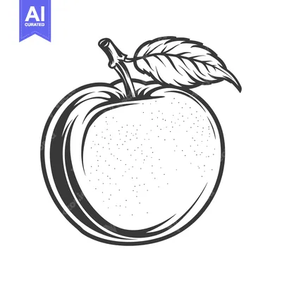 Aset desain premium: A single apple with a leaf and stem presented in grayscale