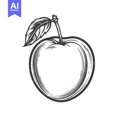 Aset premium populer: Detailed illustration depicts a single apple with its attached leaf