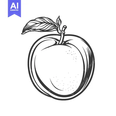 Aset premium populer: A simple monochrome illustration depicts a whole ripe piece of fruit