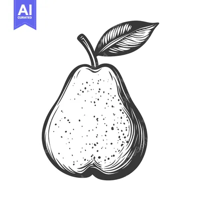 Aset desain premium: A detailed black and white drawing of a pear and its leaf