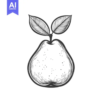 Aset desain premium: An illustrative black and white drawing of a pear fruit