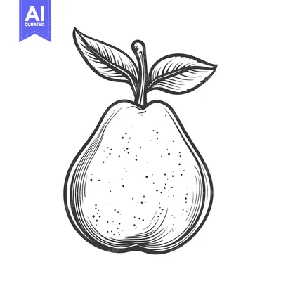 Popular premium asset: A black and white illustration of a ripe pear fruit