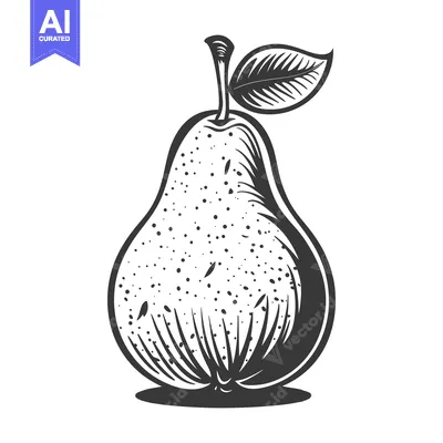 Aset desain premium: A detailed monochrome illustration of a ripe pear fruit