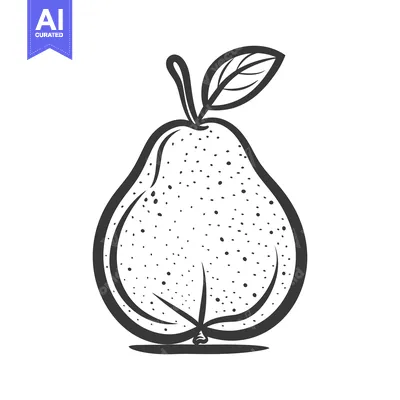 Aset premium populer: A black and white drawing of a single pear and leaf