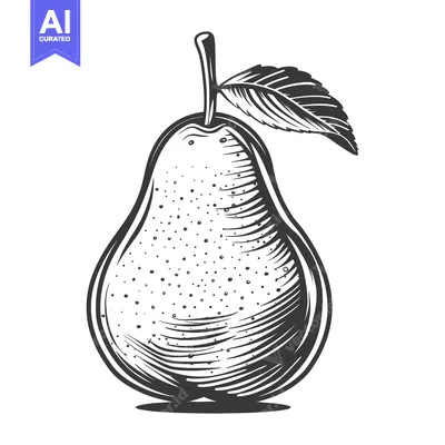 Popular premium asset: A detailed illustration of a single fresh pear with a leaf