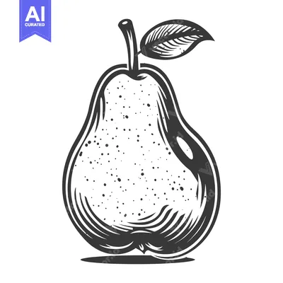 Aset desain premium: A detailed black and white illustration of a fresh pear