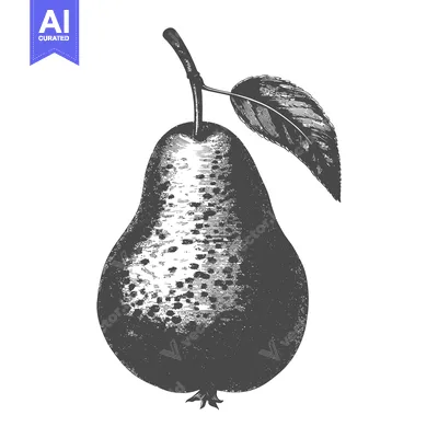 Aset premium populer: A detailed monochrome illustration of a ripe pear fruit