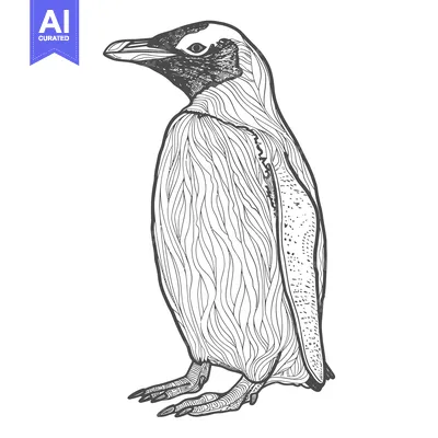 Popular premium asset: A detailed black and white artistic illustration of a penguin
