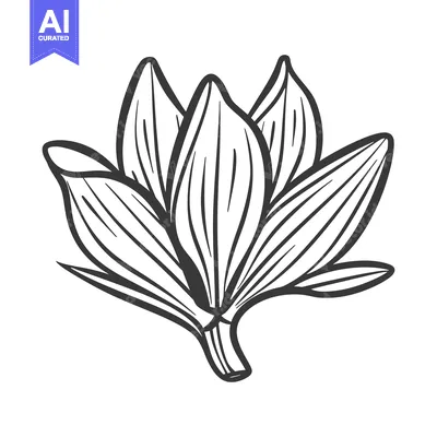 Premium design asset: A simple line art illustration depicting an open floral bloom