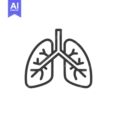 Minimalist Lung Icon: Human Respiratory System Outline on White Backgr