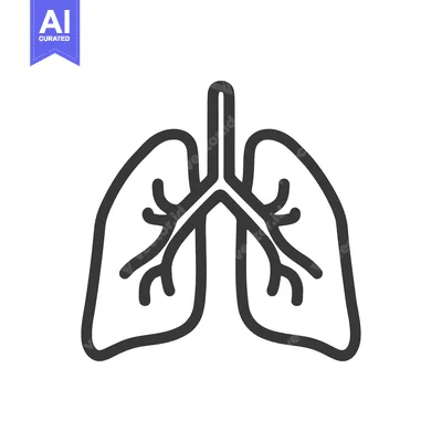 Aset premium populer: Minimalist Lung Icon: Anatomical Outline on White Background, Medical