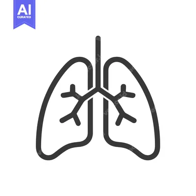 Minimalist Lung Icon: Anatomical Respiratory System Outline on White