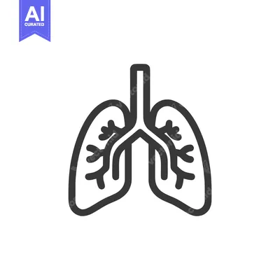 Minimalist Lungs Icon: Human Respiratory System Outline on White Backg