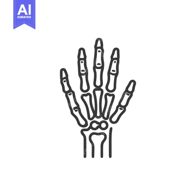 Aset premium populer: Anatomical Hand Skeleton Outline: Medical Illustration on White Backgr