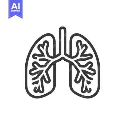 Minimalist Lungs Icon: Detailed Bronchial Tree in Bold Outline