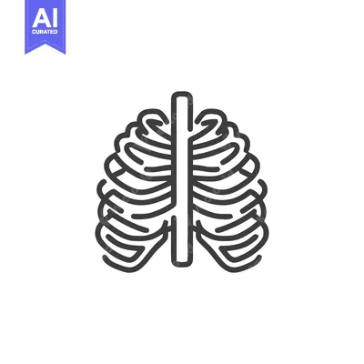 Premium design asset: Anatomical Ribcage Outline: Medical Illustration of Human Skeletal Str