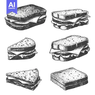 Aset premium populer: Engraved black and white illustrations of different sandwiches with va