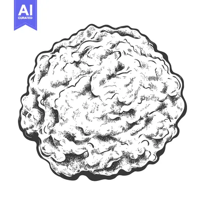 Detailed black and white illustration of a fried food item