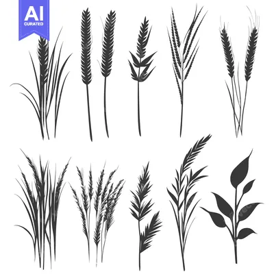 Aset premium populer: Set of 10 Black and White Silhouettes of Grass and Wheat