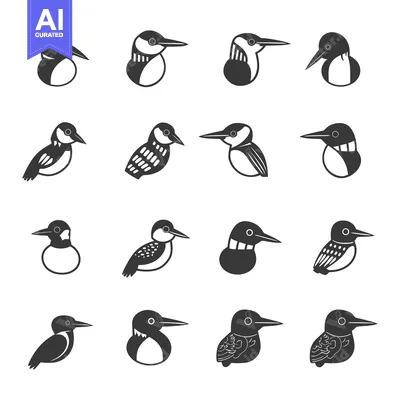 Premium design asset: Set of 12 Black and White Kingfisher Bird Icons