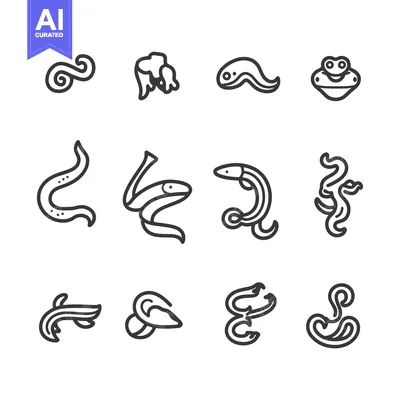 Aset premium populer: Set of 12 Line Art Worm Icons