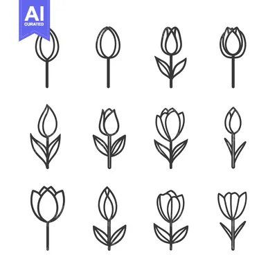 Aset premium populer: Set of 12 Tulip Flower Outline Icons in Various Stages of Growth