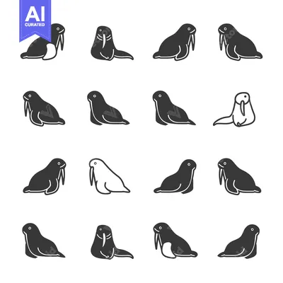 Set of 12 Walrus Icons in Different Poses and Styles