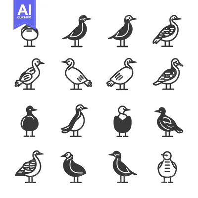 Set of 16 Bird Icons with Different Styles and Patterns