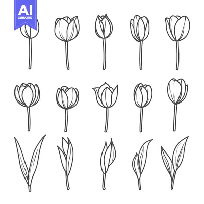 Aset desain premium: Set of 18 Hand-Drawn Outline Illustrations of Tulips in Different Stag