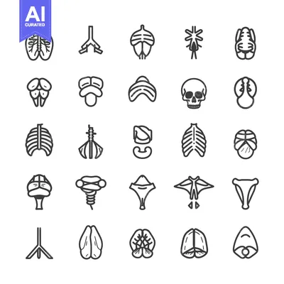 Set of 25 Human Anatomy Line Icons