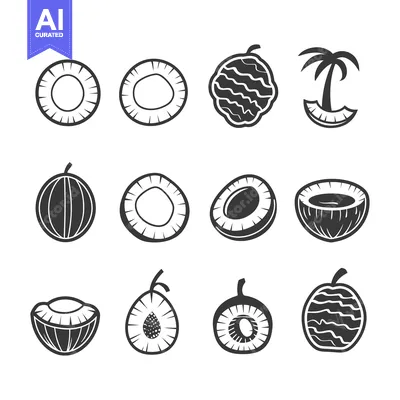 Set of Black and White Coconut Fruit Illustrations