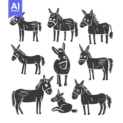 Premium design asset: Set of black and white donkey illustrations in different poses