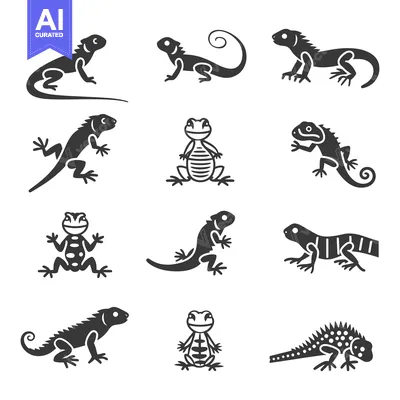 Set of Different Lizard Silhouette Icons