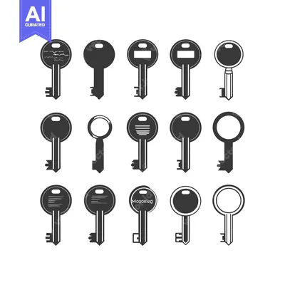 Set of  different types of keys in black and white