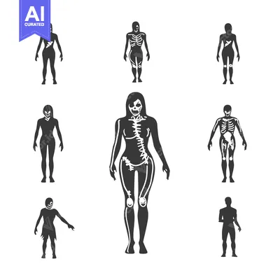 Set of Eight Silhouette Zombies with Visible Skeleton