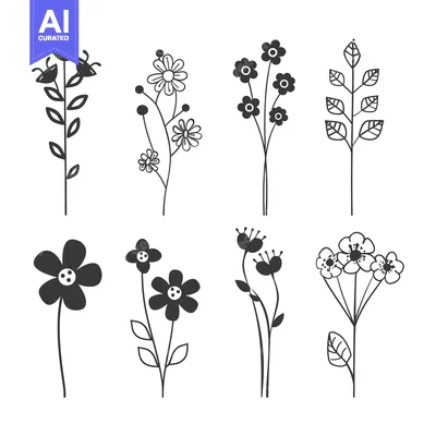 Aset desain premium: Set of Hand-Drawn Flower and Leaf Illustrations