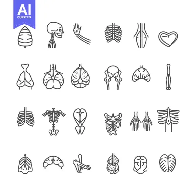 Set of Human Anatomy Line Icons for Medical Illustration