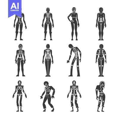 Aset premium populer: Set of Human Skeleton X-Ray Icons