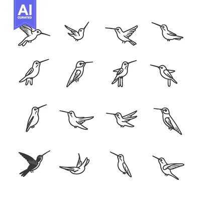 Popular premium asset: Set of Hummingbird Line Drawings in Various Poses