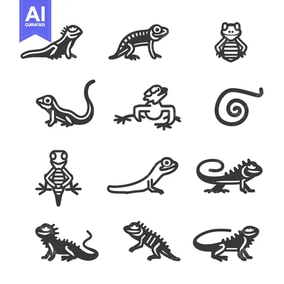 Set of Lizard and Iguana Icons in Black and White