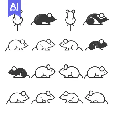 Popular premium asset: Set of Mouse Icons in Black and White, Line Art and Filled Styles
