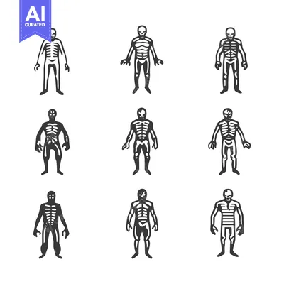 Set of Nine Black and White Skeleton Illustrations