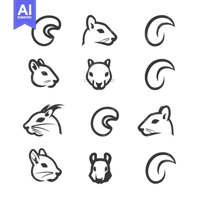 Set of Nine Black and White Squirrel Head and Cashew Nut Illustrations