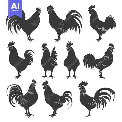 Aset premium populer: Set of nine black rooster silhouettes in various poses